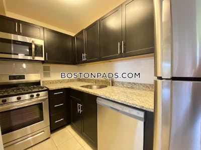 Brookline Apartment for rent 2 Bedrooms 1 Bath Boston University - $3,900 No Fee