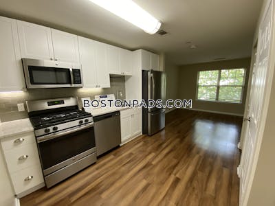 Newton Apartment for rent Studio 1 Bath  Chestnut Hill - $2,970