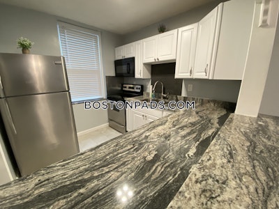 Allston/brighton Border Apartment for rent 3 Bedrooms 2 Baths Boston - $4,100
