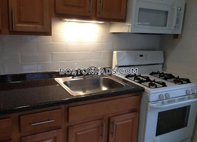 Brighton Apartment for rent 1 Bedroom 1 Bath Boston - $2,500 No Fee