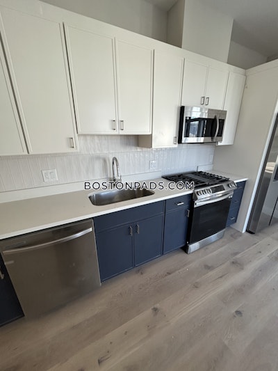 Allston Apartment for rent 2 Bedrooms 2 Baths Boston - $3,900 No Fee