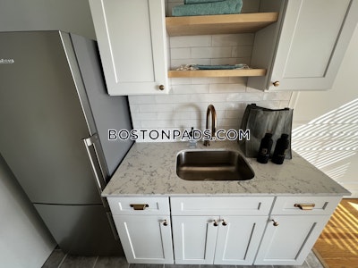 Brookline Apartment for rent 1 Bedroom 1 Bath  Coolidge Corner - $3,309