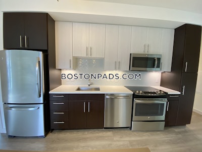 West End 2 bedroom  Luxury in BOSTON Boston - $5,499