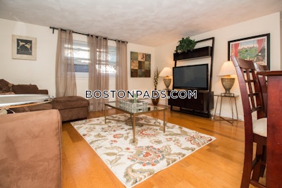 Brookline 1 Bed 1 Bath  Brookline Hills - $4,300